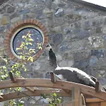 Holiday home Alensgrove Maisonette B *
